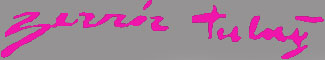 Zerrin Tuluğ Logo